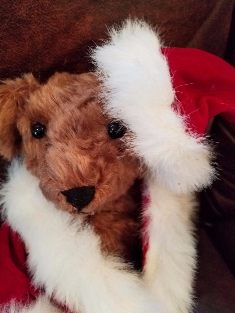 Santa Bear Created byShirley Macone #632   12"