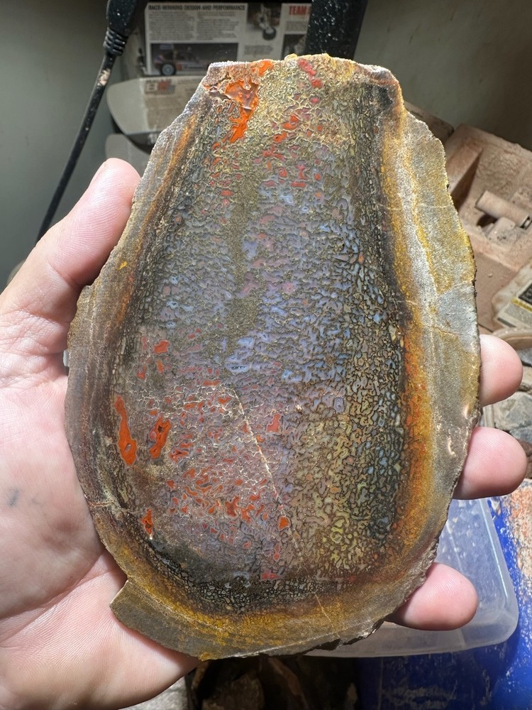 Dinosaur bone rough **hxtled high grade slab.