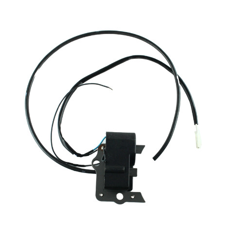 ELECTRONIC CONTROL UNIT COIL WITH PICK UP ENGINE BETA B155 B175 B205 B210