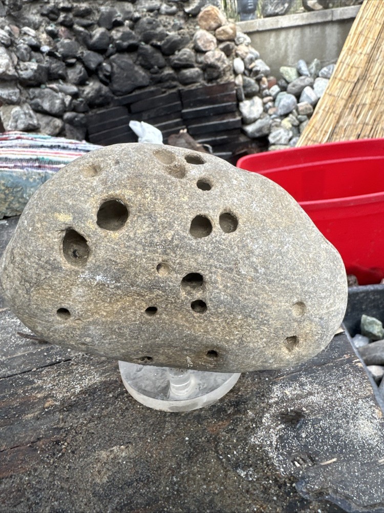 Rocks for Tumbling Lapidary Material Rough