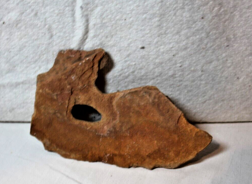 rock fossil from  southern Utah