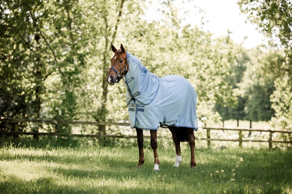 Amigo ® Bug Rug Plus Fly Sheet