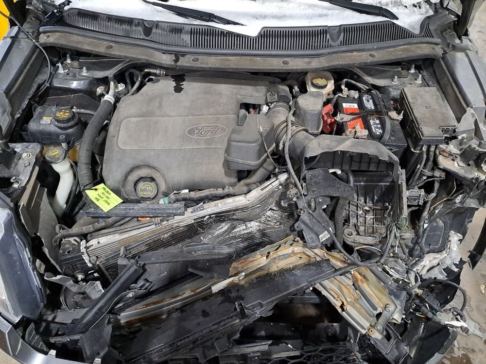 2016 Explorer Jack Sku#4361707