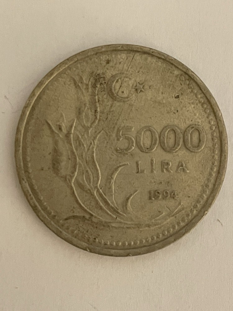 1994 Turkey 5000 Lira Coin