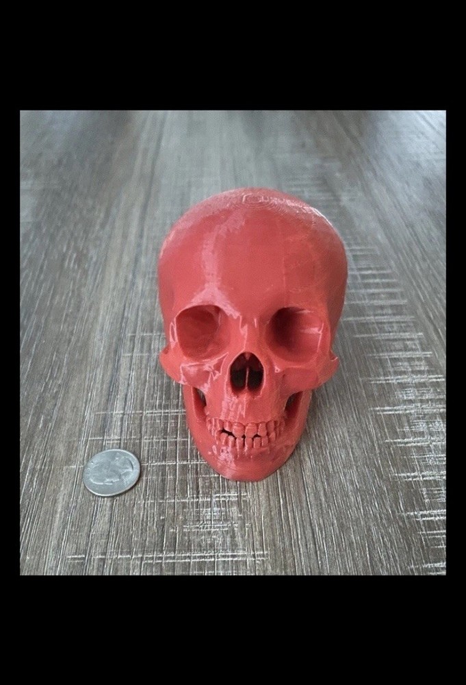 3D Printed Red Human Skull Halloween Skull