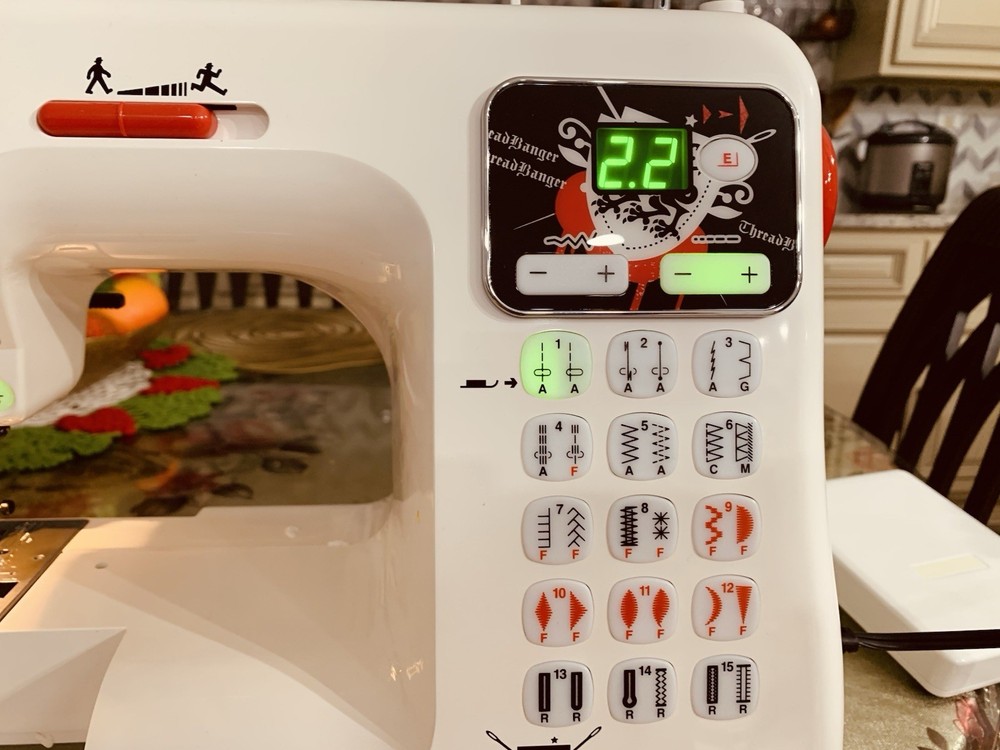 Janome Thread Banger Model TB-30 Computerized Sewing Machine