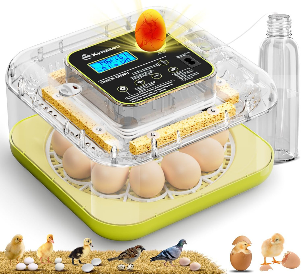Egg Incubators for Hatching Eggs, 12 Egg Incubator with Automatic Egg Turning an