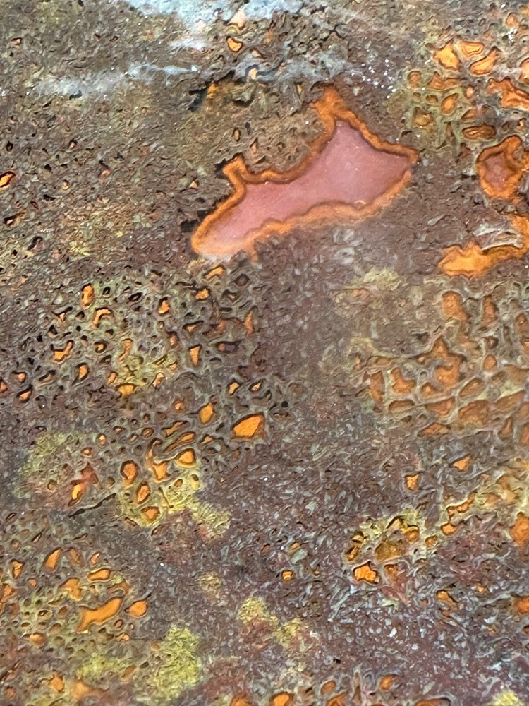 Dinosaur bone rough **hxtled large slab.