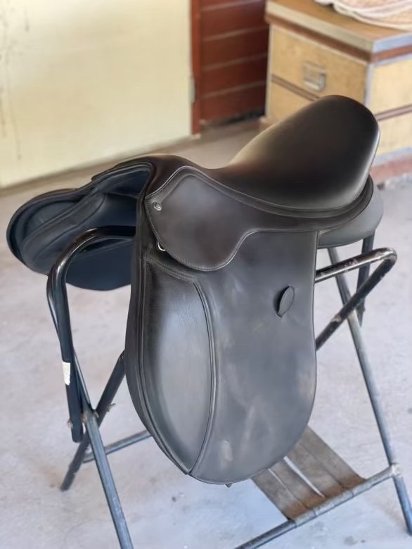 jumping saddle 17 used