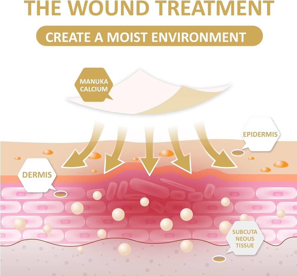 Dishwasher Filter Replacement