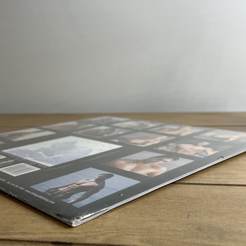 Dream Guys 2001 Wall Calendar