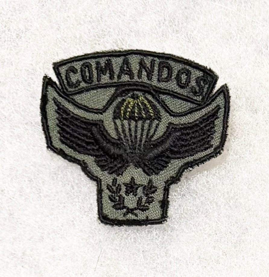 Chile Army  Commandos Airborne Para Wing Patch