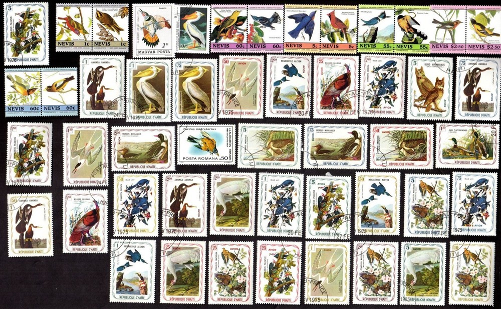 50 All Different AUDUBON BIRD  STAMPS