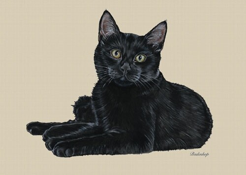 Black Cat Blank Note Card
