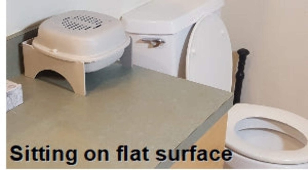 Purrified Air Product Bundle A