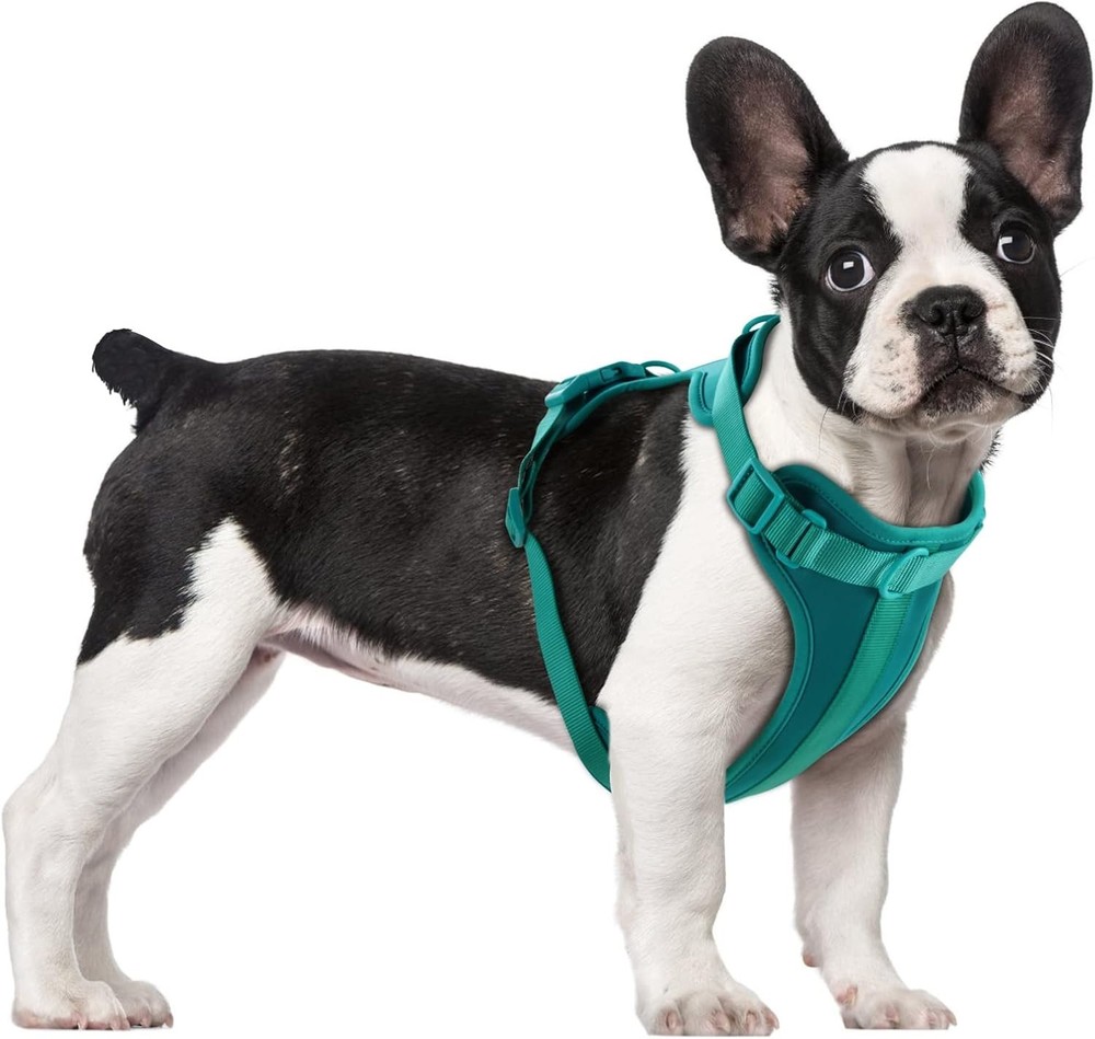 Wisedog Lightweight Dog Harness No Pull 3 Fast-Release Buckles Adjustable, XS