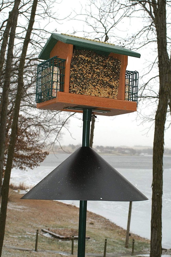SQUIRREL18" WRAP (Pack of 1)