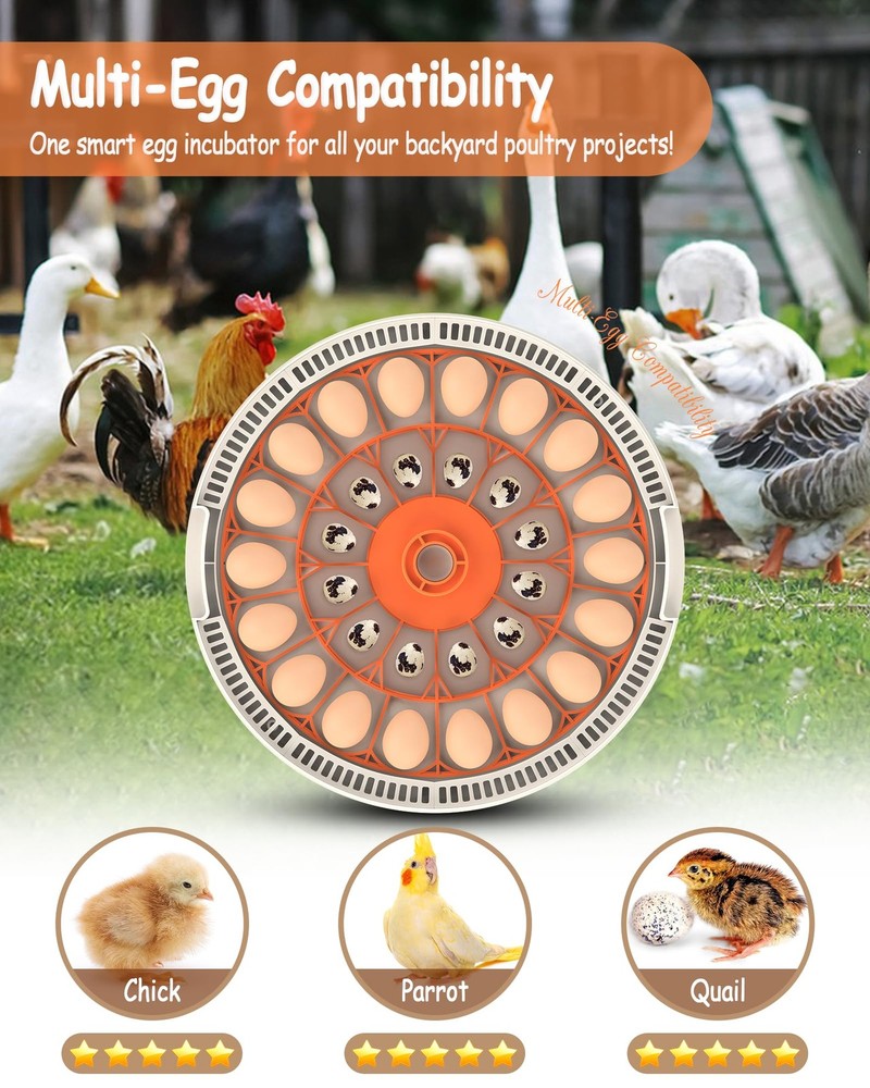 30 Egg Incubators for Hatching Eggs with Automatic Egg Turner, Auto Temperature