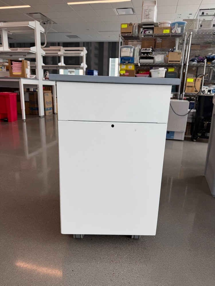 Mott Pedestal Lab Cabinet