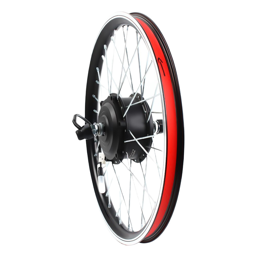 20" Front Wheel 36V 250W Electric Bicycle Conversion Kit with Throttle