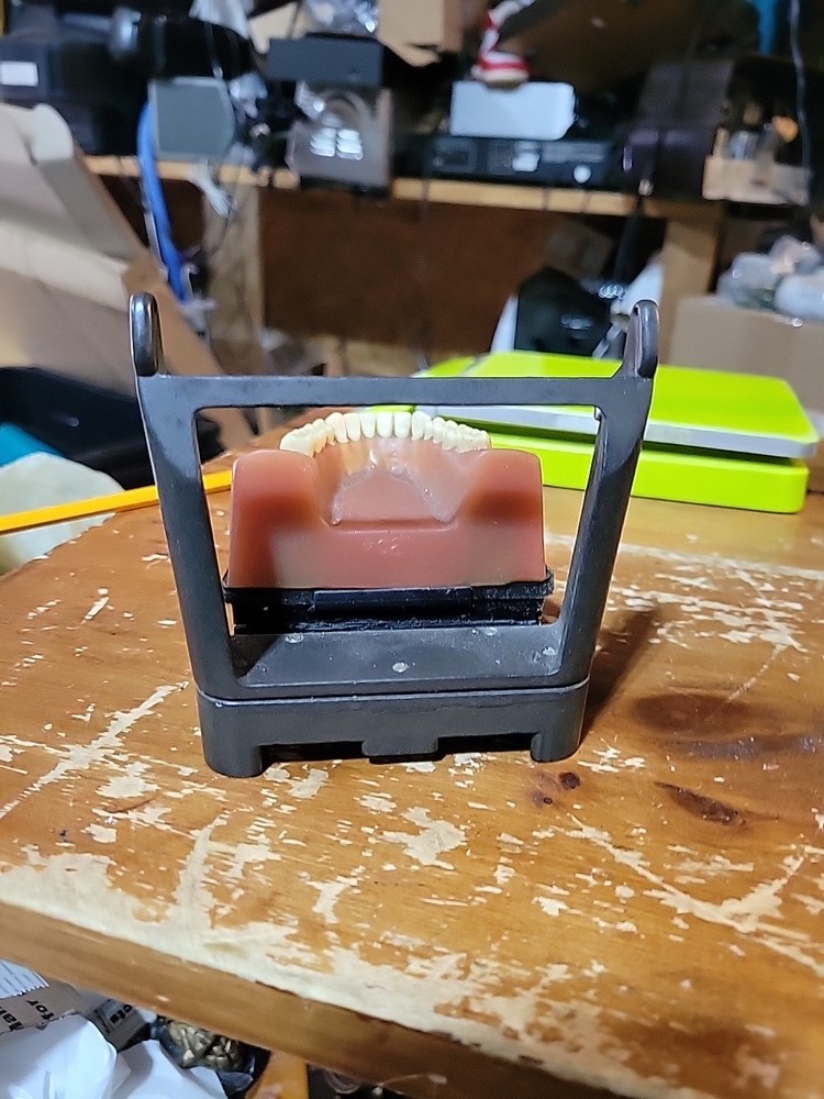Vintage Dental Model, Typodont Model, Orthodontic Simulation Training As Is
