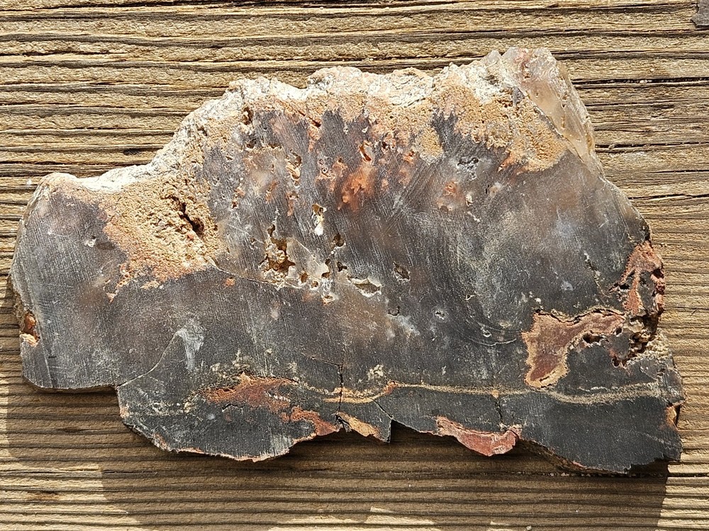 Unknown Lapidary Slab 115 Grams