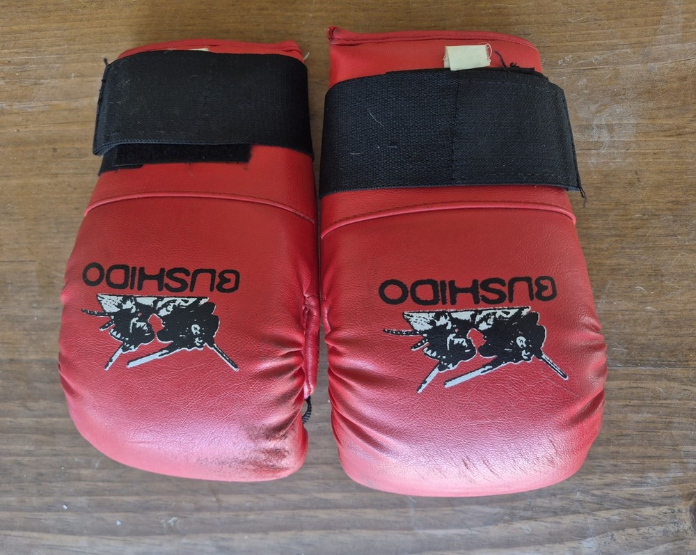 Bushido Gloves Sizes XS