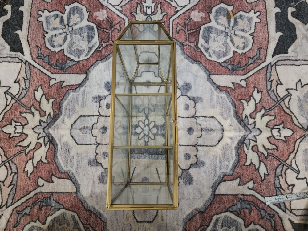 Opalhouse Glass Display Case