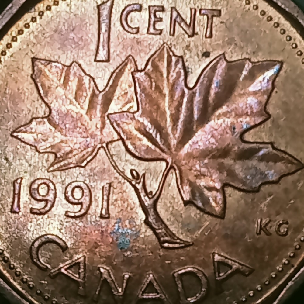 1991 1 Cent Kanada top