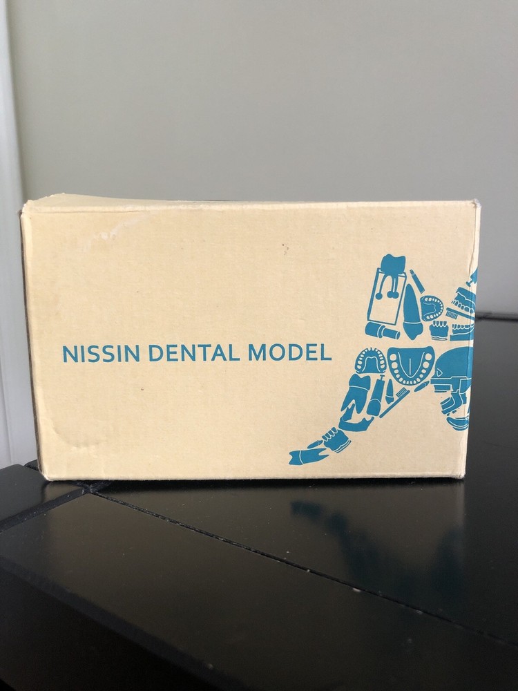 Nissin Ortho Typodont Dental Model