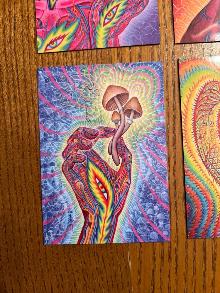 Alex Grey FRIDGE MAGNETS