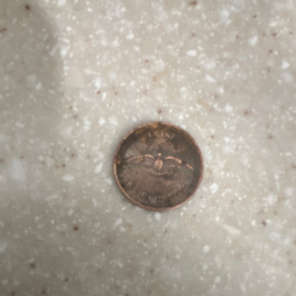 Flying Eagle Small Cent Circulated US Coin BN Uncertified