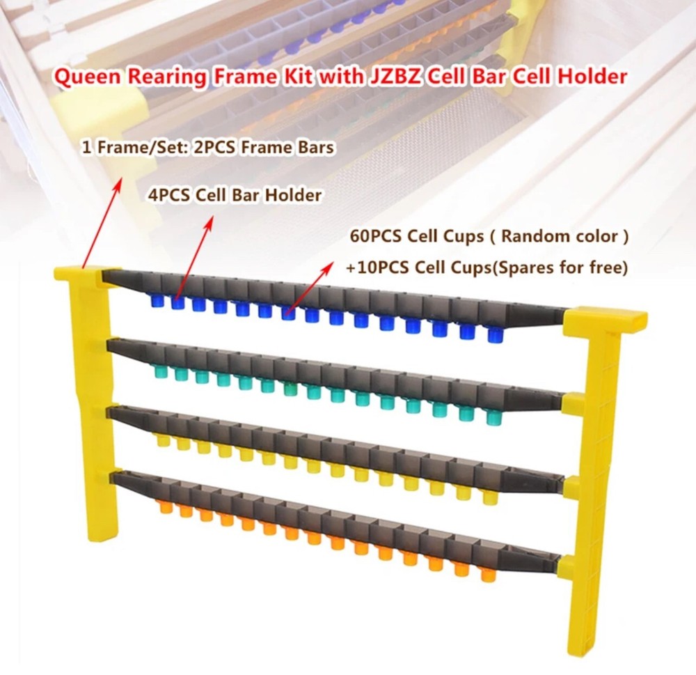 Beehive queen Rearing kit