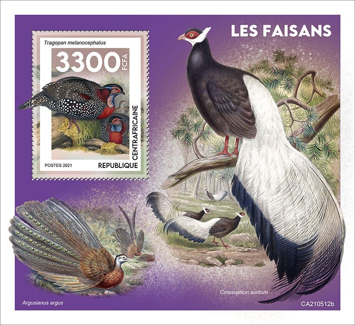 Pheasants