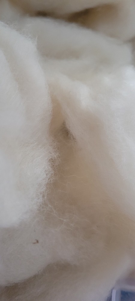 Romney wool roving (white) 8 oz