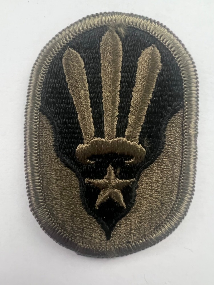123rd Army Reserve Command Subdued US Army Patch