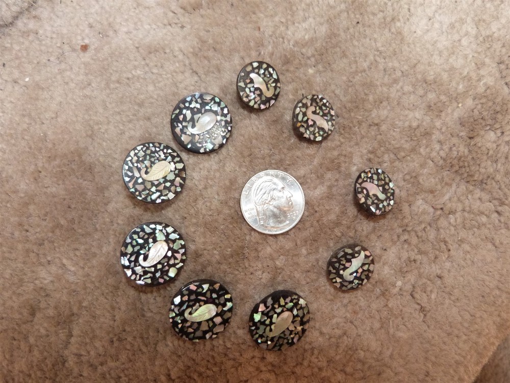 VTG matching composition abalone flake confetti leaf button lot diff sizes #101