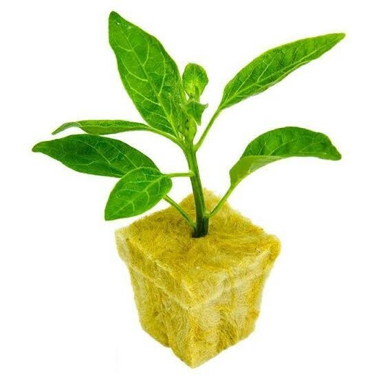 Grodan AO 36/40 Sheet - 98 Cubes Per Sheet