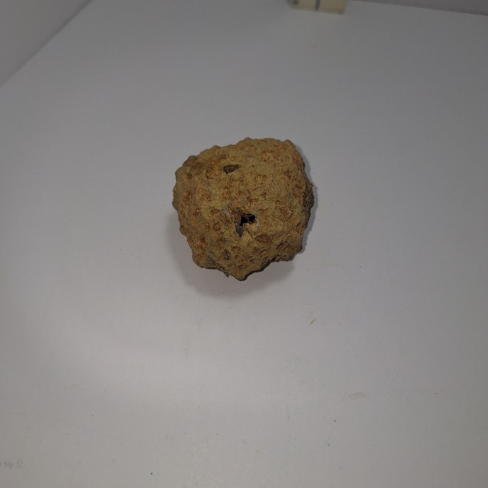 igneous rock
