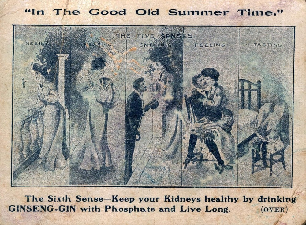 Victorian Ad Ginseng Gin Co. Cincinnati Ohio c1900