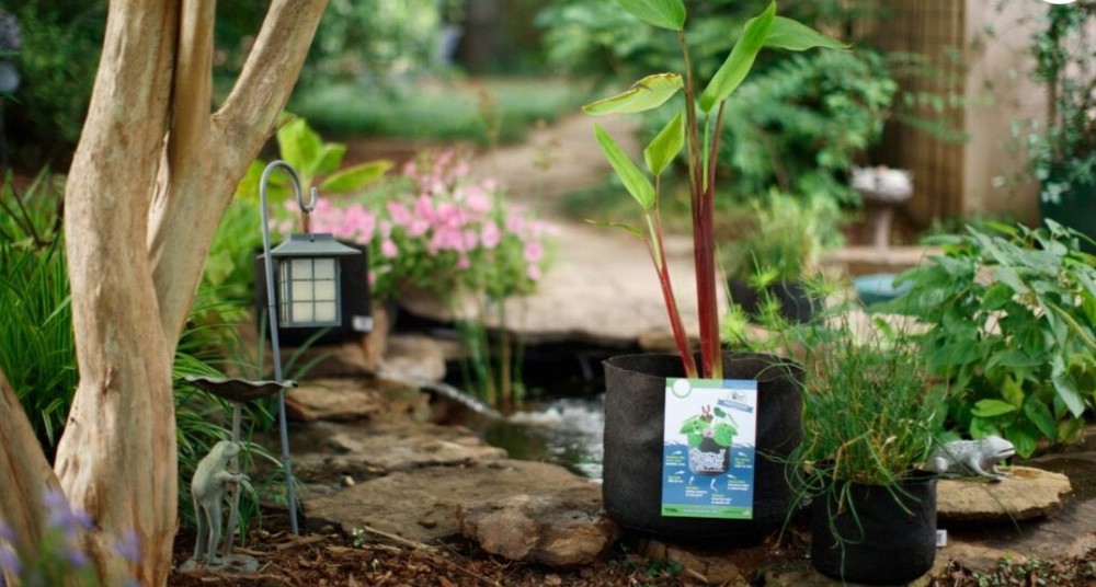 Smart Pot Pond-Pots #2 (2 gallon)