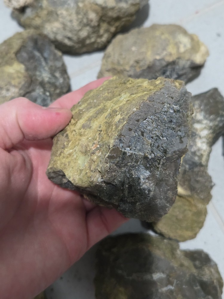 OLD RICHARDSON RANCH MOSS BED THUNDER EGG ROUGH - 8 LB