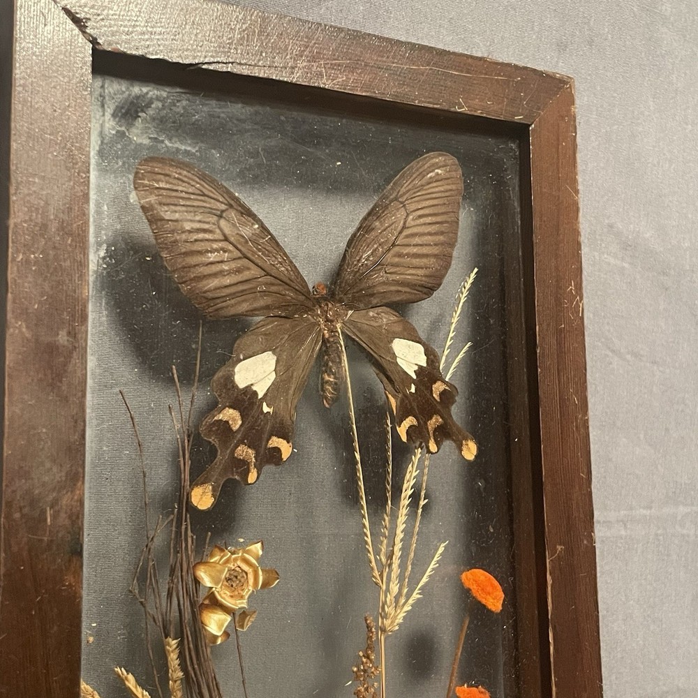 Autumn Butterfly Shadowbox With Fall Decor
