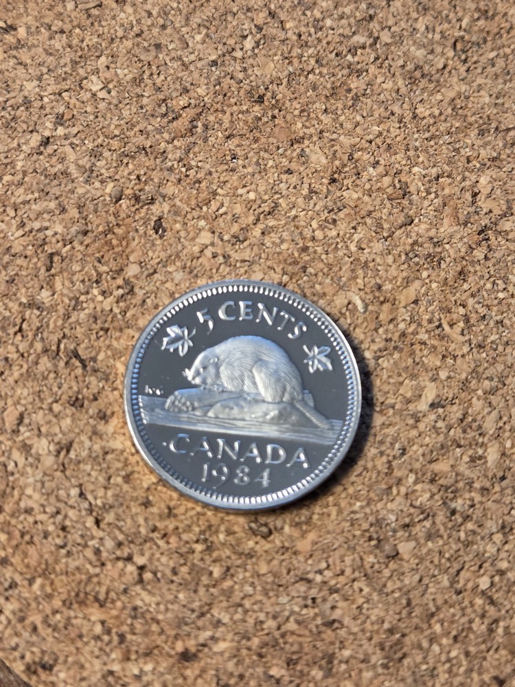 1984 CANADA 5 Cent Proof COIN