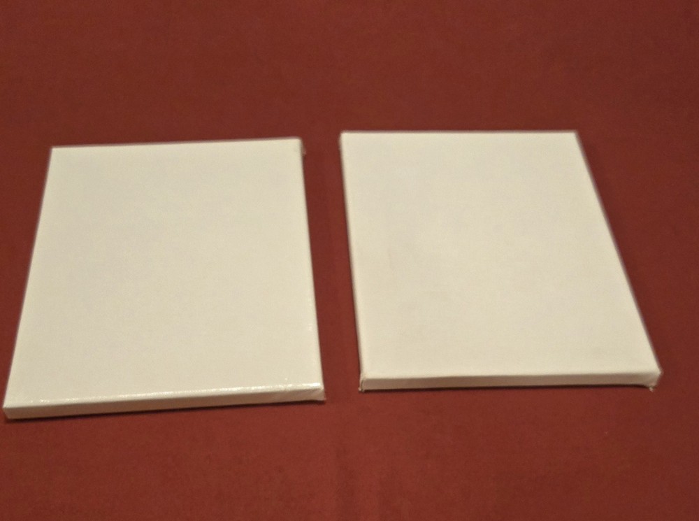 2 Blank Art Canvases - 8 X 10