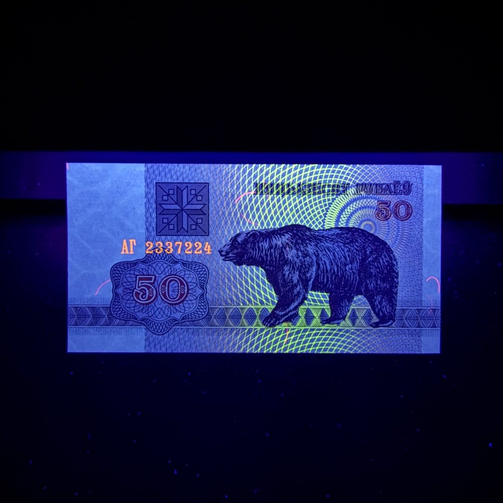 Tiny Belarus 50 Rublei Banknote. World Foreign Currency. Bear Note under UV
