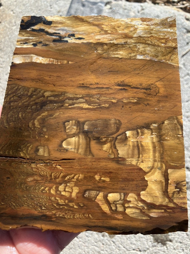 Biggs Jasper Slab (Oregon)