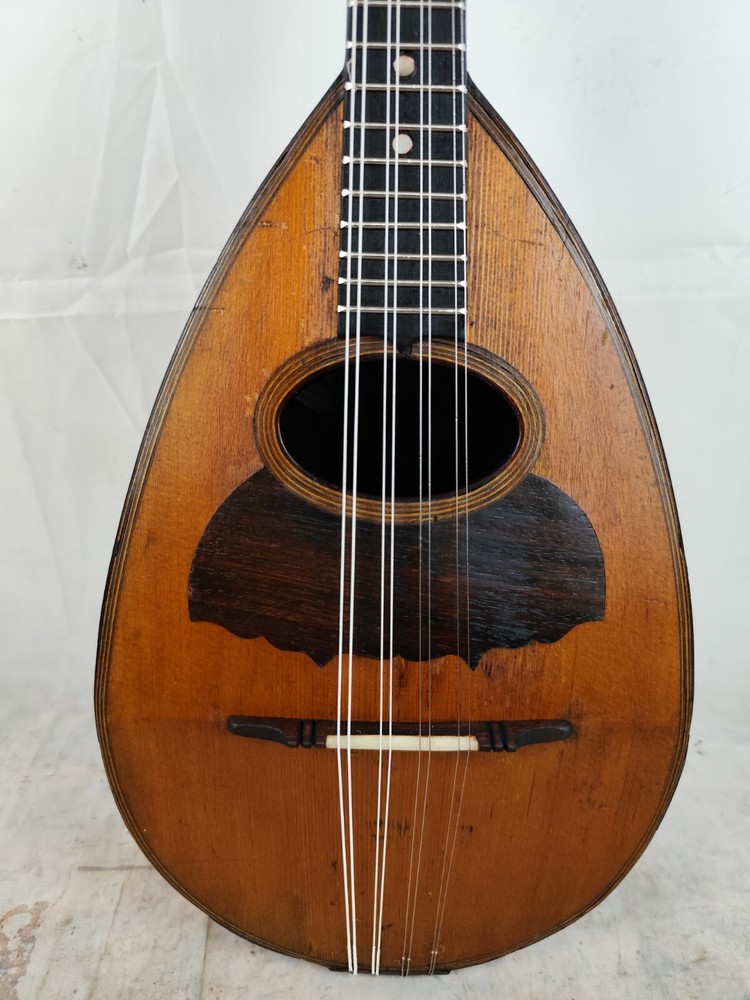 Mandolin 4/4 Luigi Ricci e Son 1885 Naples 曼陀林 만돌린マンドリン