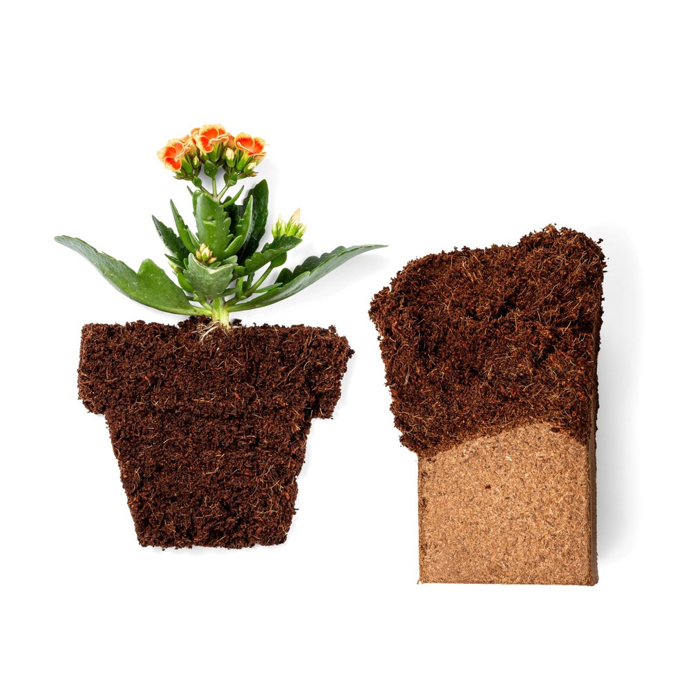Organic Coco Coir Bricks 650gm (5-Pack) - Garden Soil Seed Starter Mulch
