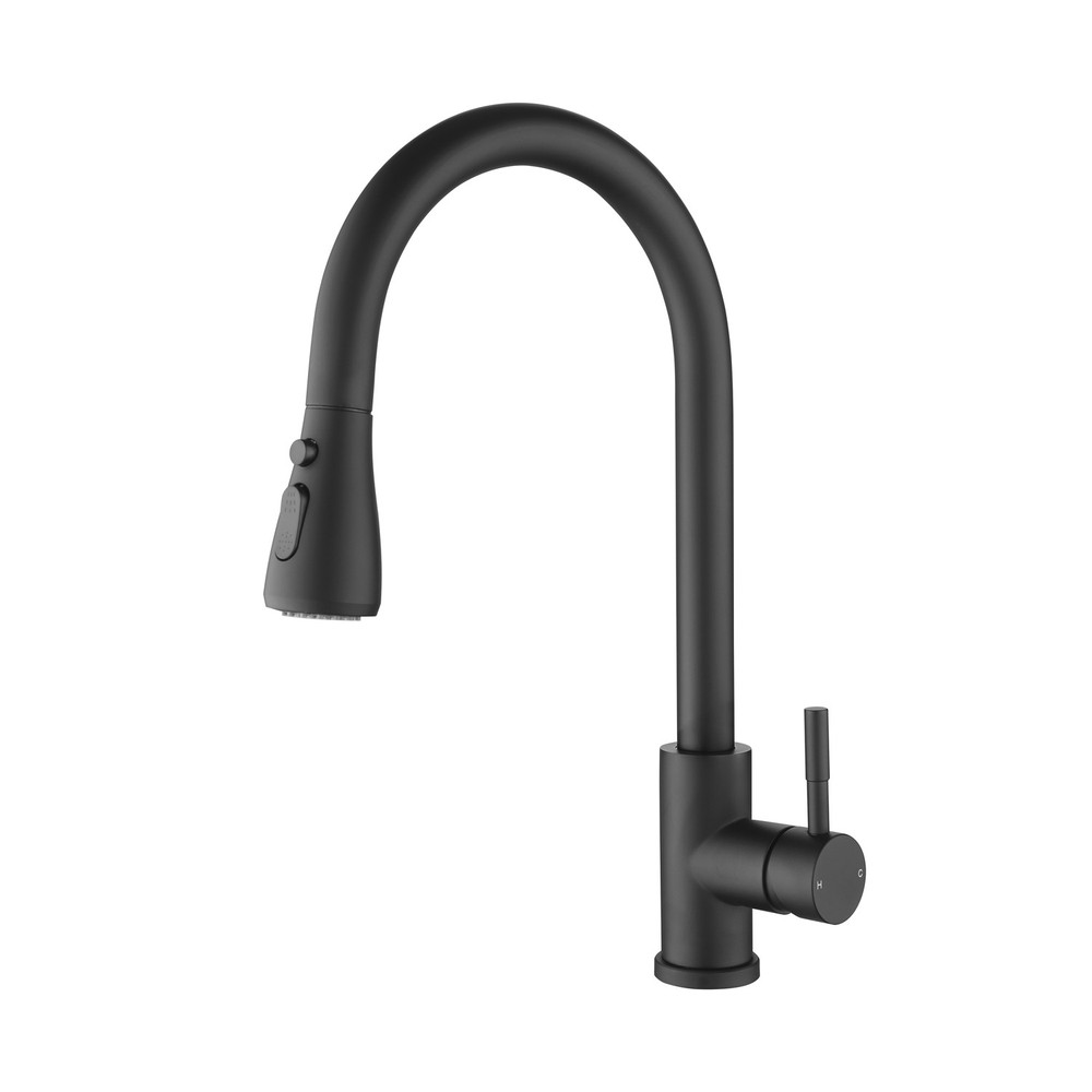 Kitchen Faucet with Pull Out Spraye Matte Black
